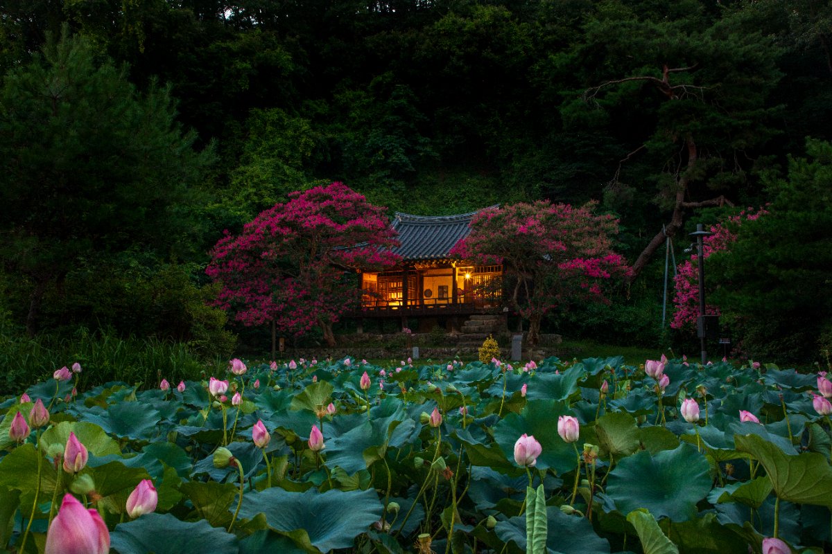 체화정의 저녁
