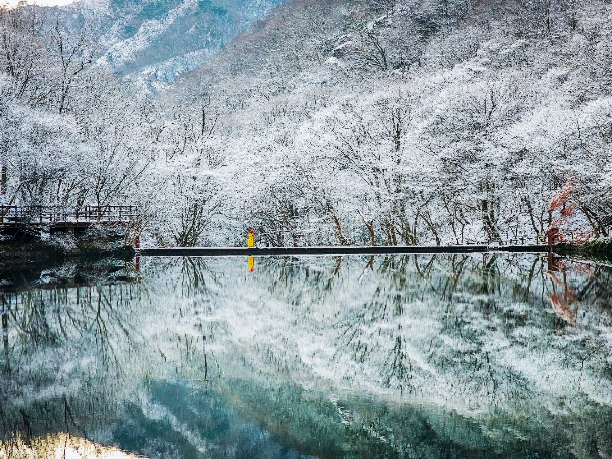 겨울을 걷는 한 사람