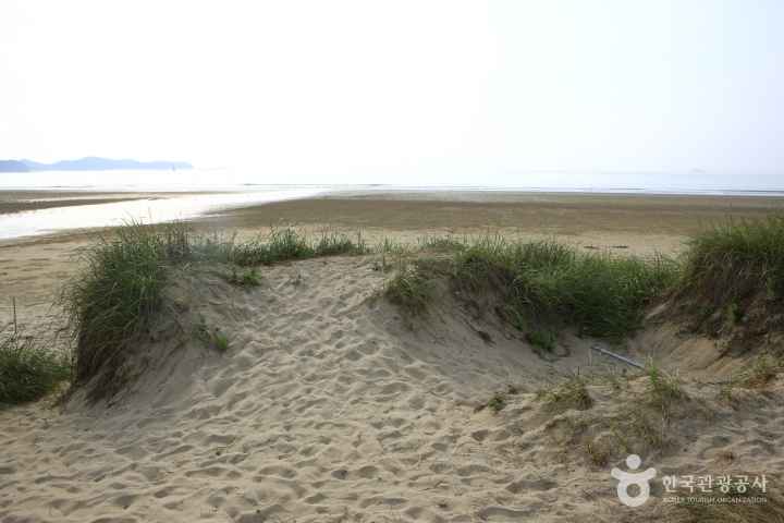 Sinduri sand dune 