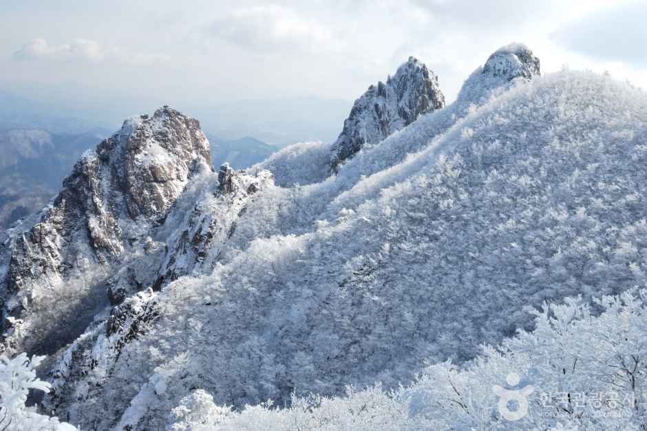 Winter of Mt.Wolchul