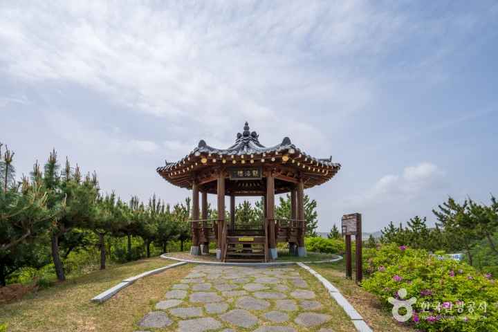 Erosion Control Memorial Park