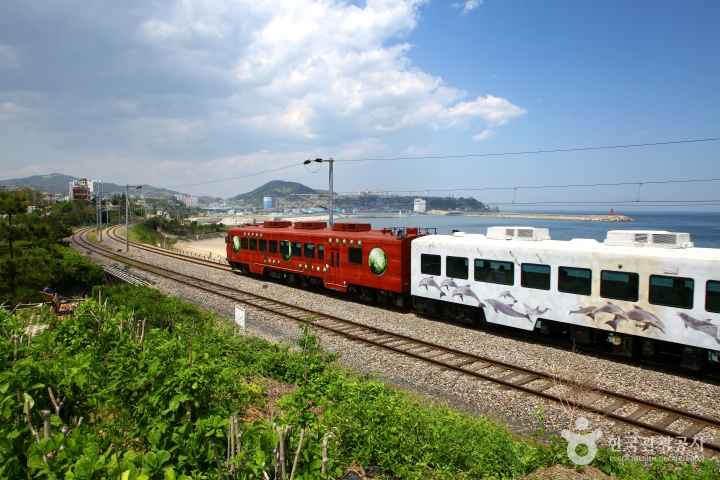 Donghae Sea Train