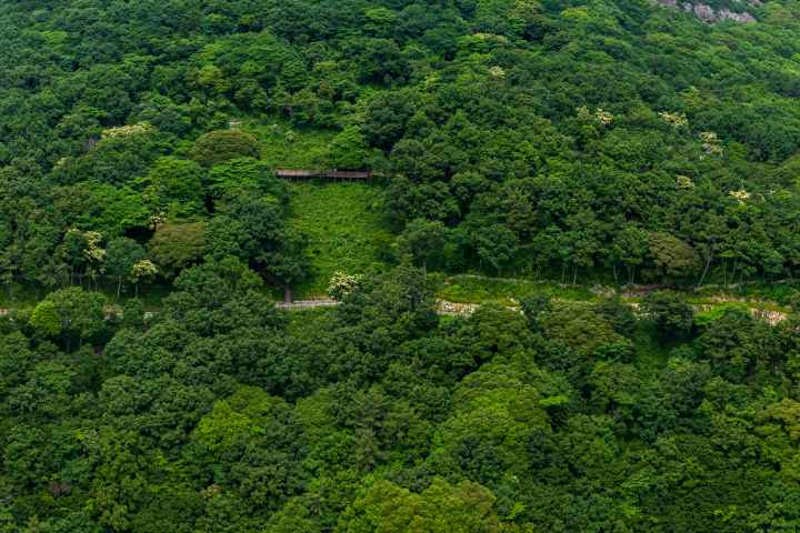 약산해안치유의 숲