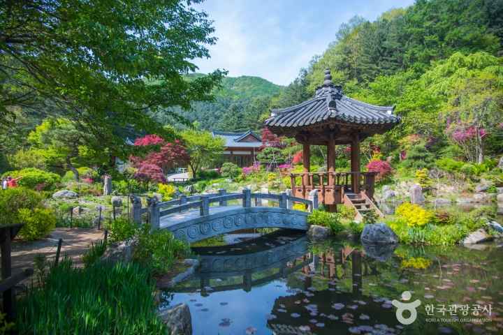 The Garden of Morning Calm