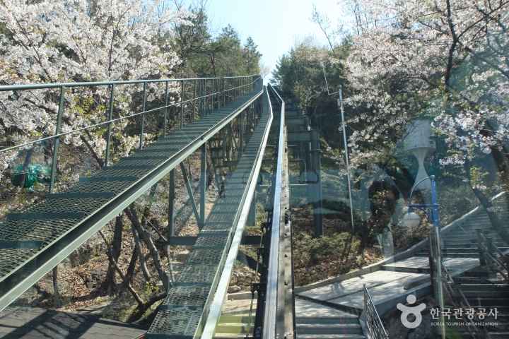 제황산공원 모노레일카
