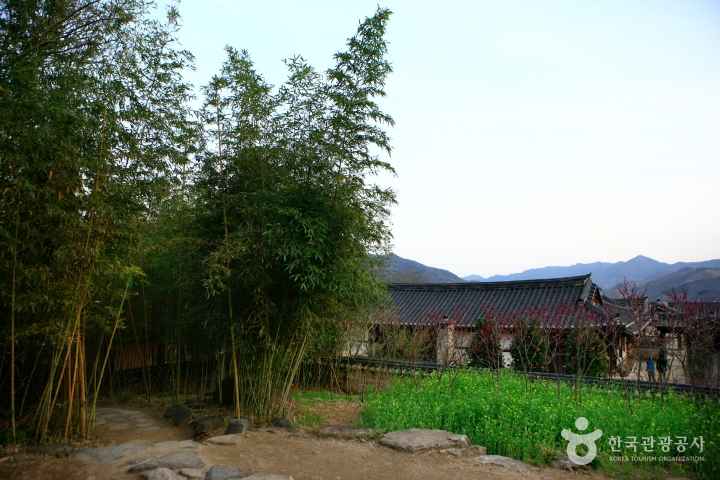 a Background site of Novel 'Land' 