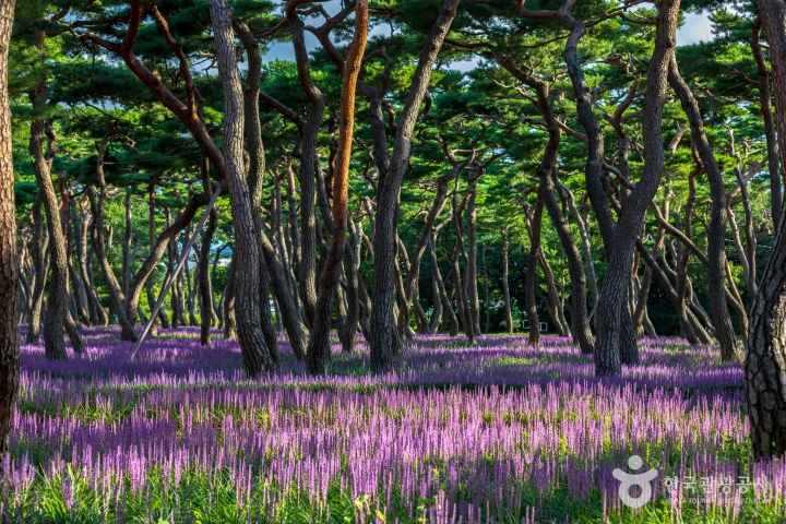 Hwangseong Park