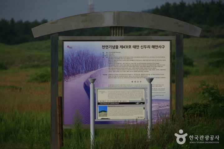 Sinduri sand dune 