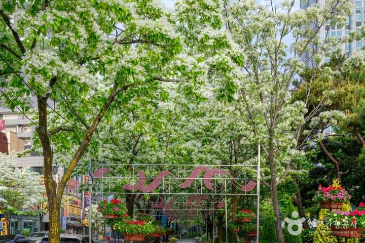 Yuseong Hot Springs Park