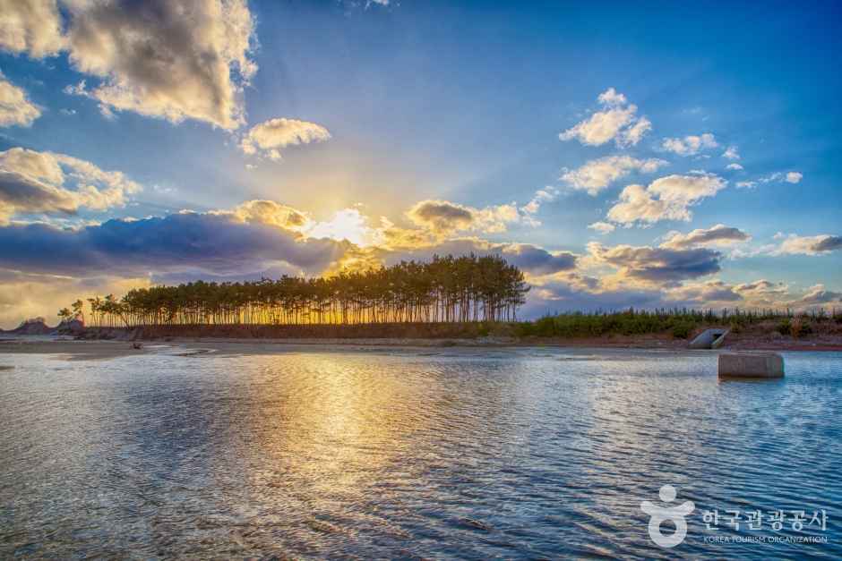 운여해변