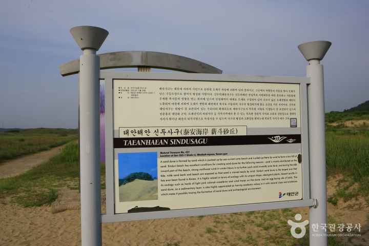 Sinduri sand dune 