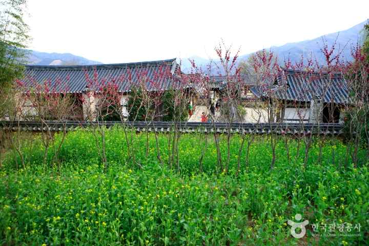 a Background site of Novel 'Land' 