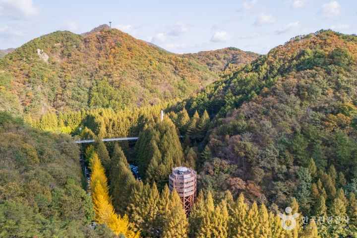 장태산자연휴양림