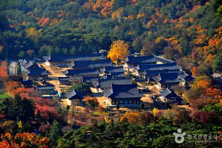 청도 운문사