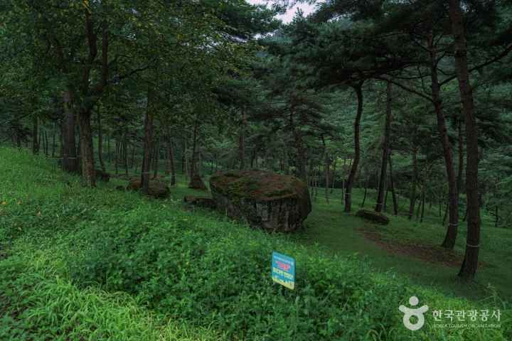 화순 고인돌 유적지