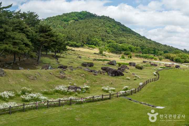 고창 고인돌 유적