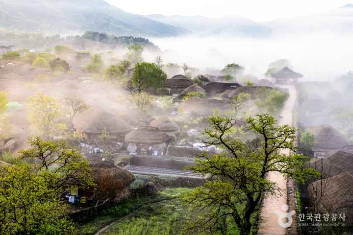 안개속의 낙안읍성