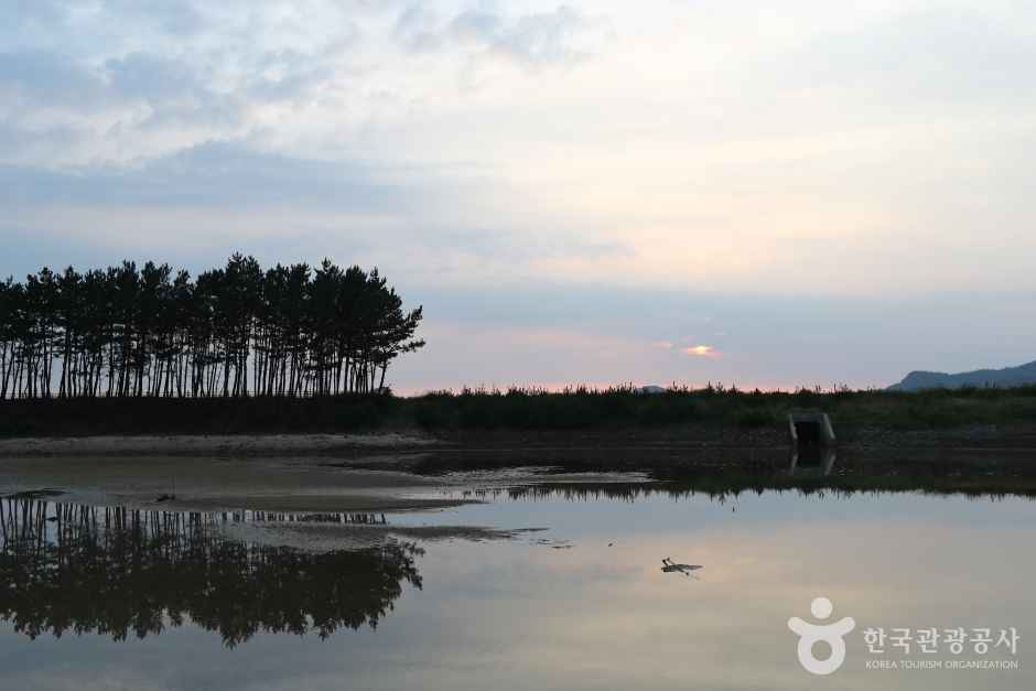 운여해변