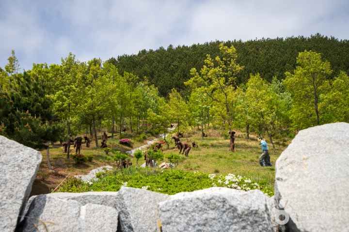 Erosion Control Memorial Park