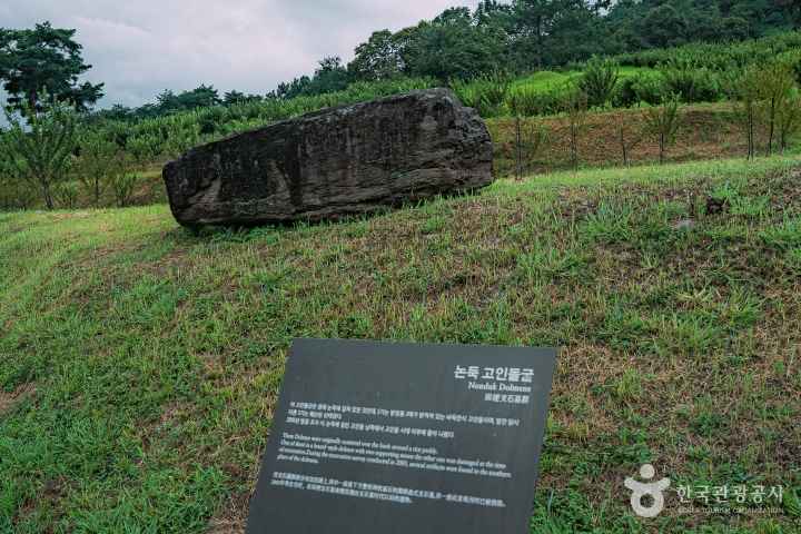화순 고인돌 유적지