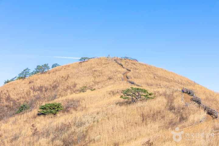 민둥산