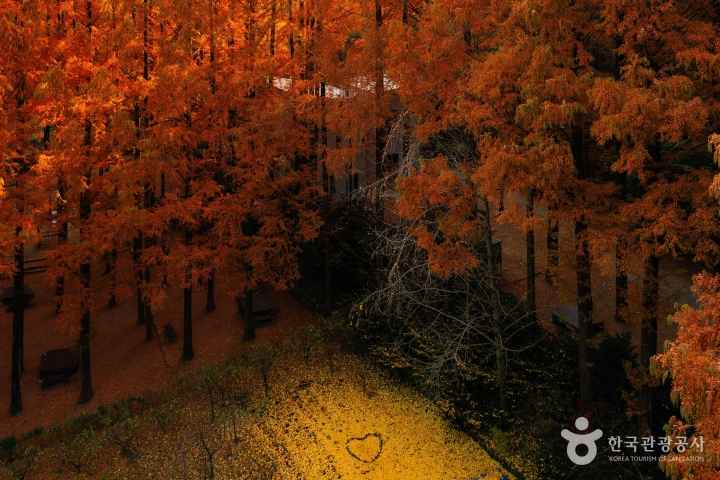 마음이 뜨거운 장태산의 가을아침