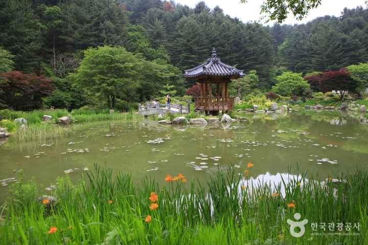 The Garden of Morning Calm