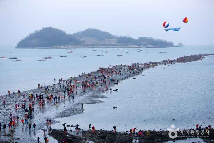 진도 신비의 바닷길 축제
