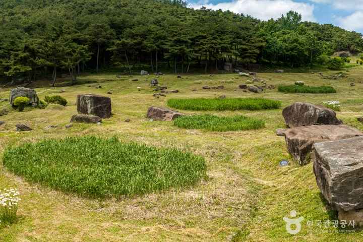 고창 고인돌 유적