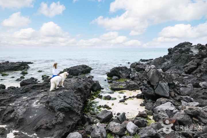 Handam Coastal Trail