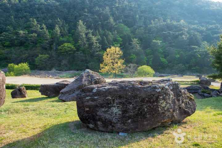 화순 고인돌 유적지