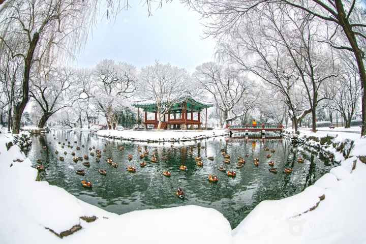 한국의 겨울 고요와 생명이 머무는 곳