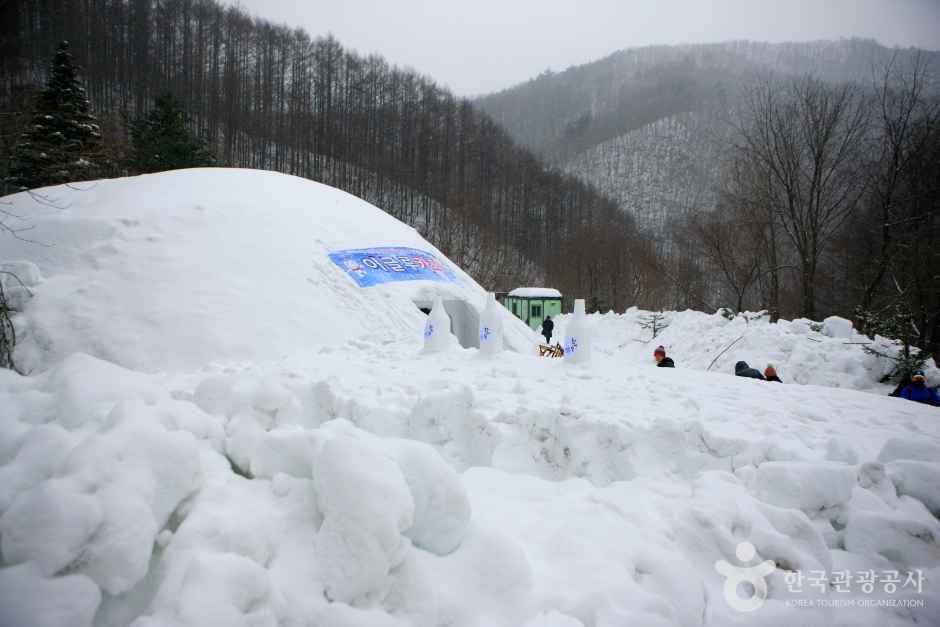 태백산 눈축제