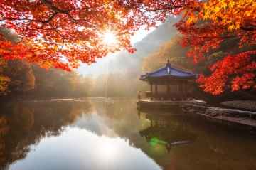 Morning of Uhwajeong Pavilion