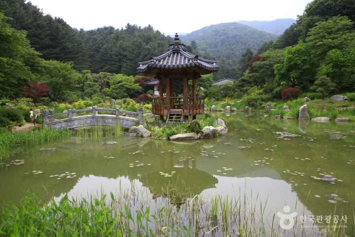 The Garden of Morning Calm