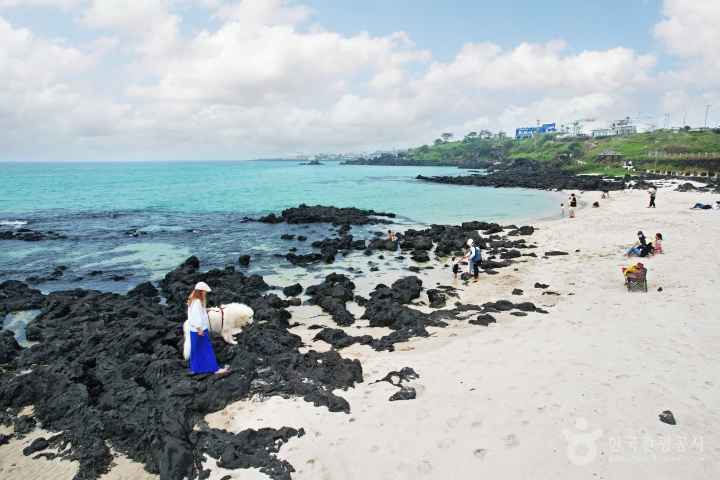 Handam Coastal Trail