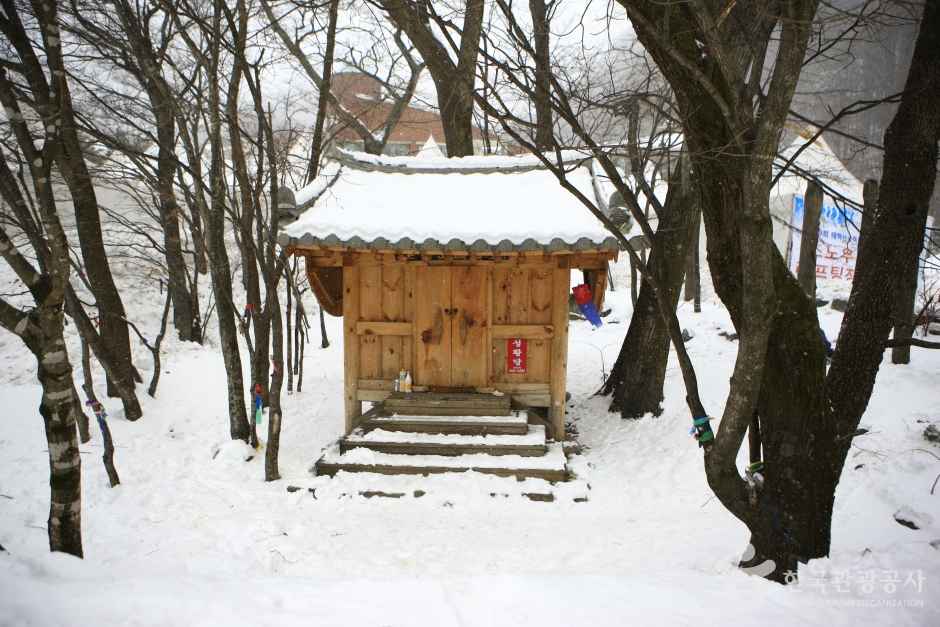 태백산 눈축제