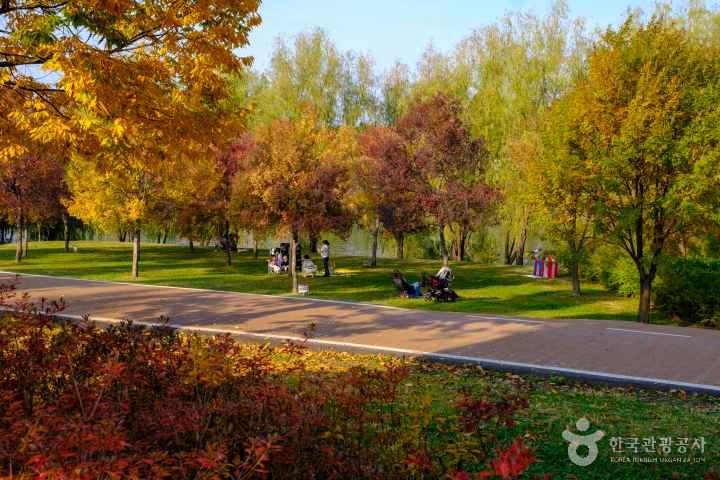 Yanghwa Hangang Park