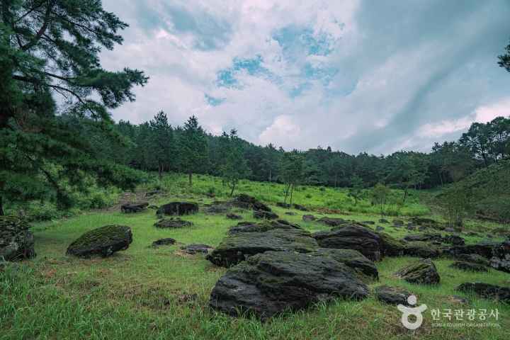 화순 고인돌 유적지