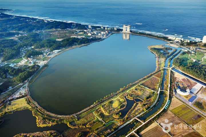 Gyeongpoho Lake