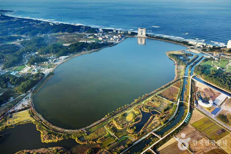 Gyeongpoho Lake