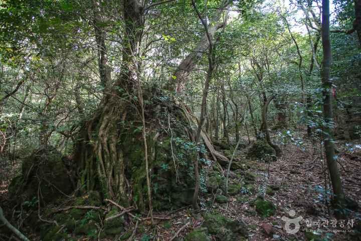 Iseungi Volcanic Cone