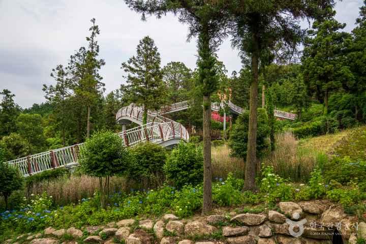 Jeongnamjin Cypress Forest Woodland