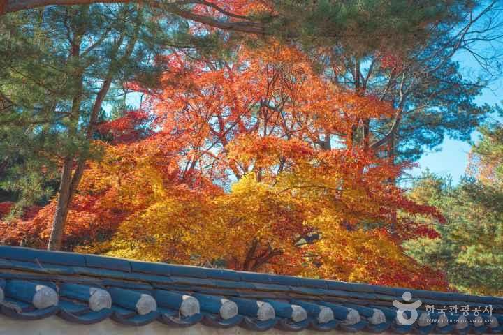Jongmyo Shrine