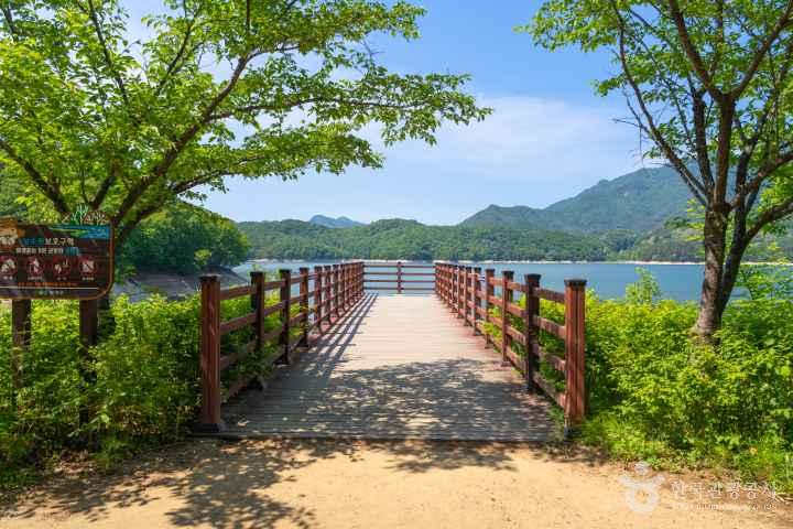 Hoengseonghosugil Trail