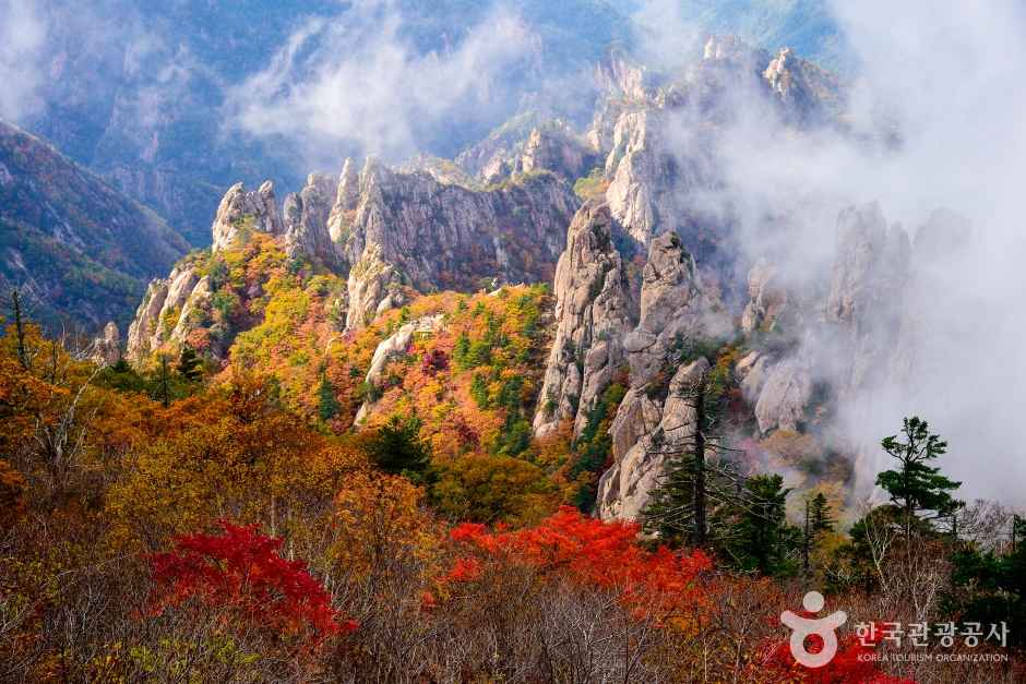 Autumn of Yongajangseong Ridge