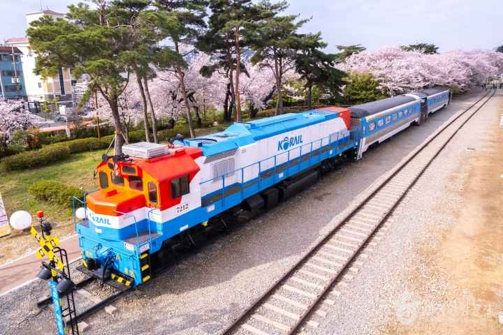 2024 진해군항제