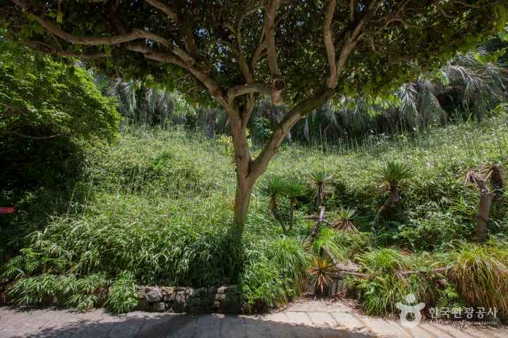 Geoje Oedo-Botania
