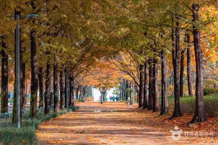Seoul Forest