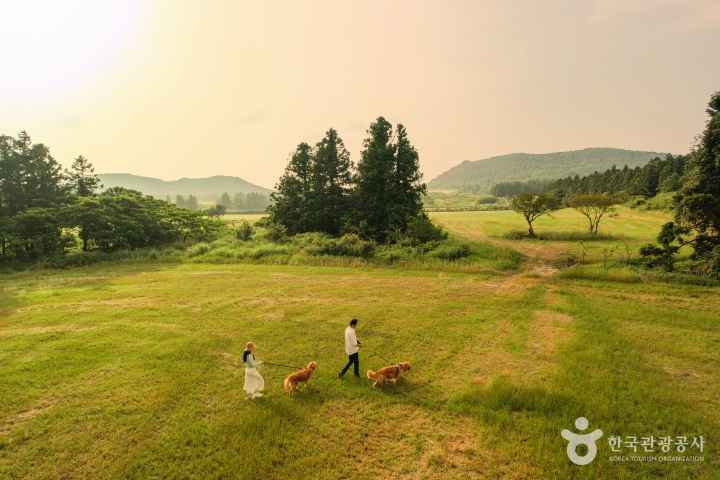 Andol Oreum Secret Forest